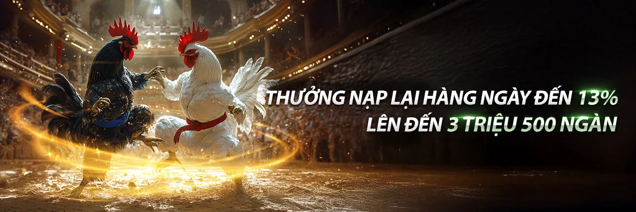 Đá gà trực tiếp đầy kịch tính tại tylekeo88 com hôm nay