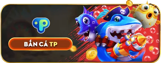 Tổng quan các điều khoản dịch vụ